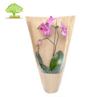 Emballage de bouquet de fleurs Emballage recyclable durable Fleurs Manchon de plante fraîche verte Bopp + Housses de bouquet en papier kraft