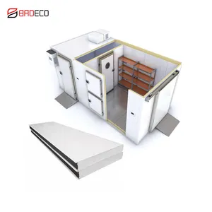 walk in freezer cold room manufacturer Cold Storage Room