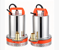 Pompe solaire submersible DC 12V-72V à haute pression pour l'irrigation des terres agricoles, l'arrosage des jardins et l'aspiration des rivières