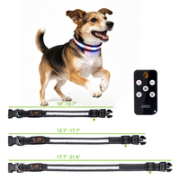 Collier LED clignotant pour chien, pour la sécurité nocturne, imperméable, rechargeable par USB, en polyester, avec motif imprimé, style dessin animé