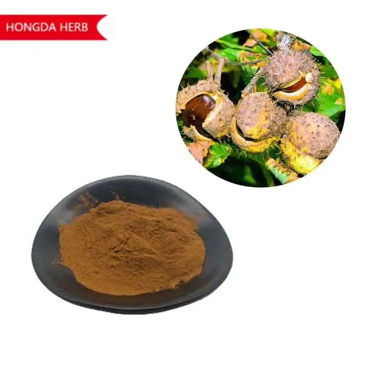 Low price Horse Chestnut / Aesculus hippocastanum / Semen Aesculi Extract