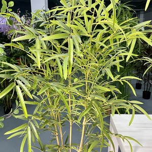 6ft gros Offre Spéciale grand artificielle arbre <span class=keywords><strong>de</strong></span> <span class=keywords><strong>bambou</strong></span> pour la décoration extérieure - Product Image 4
