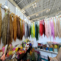 Amaranth Lover Tears Langlebige Konservierte Blumenspikes Ewige Blume Amaranthus Kreation Dekoration Hochzeitsdesign