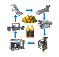 Hoogproductieve volautomatische 3-in-1 fruit sap, mineraalwater, bier, warmvulfabriek met pulpcontrole en etiketteermachines