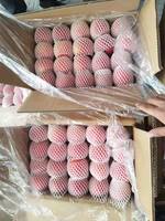 Nouvelle saison, prix de gros des pommes, pommes Fuji de haute qualité, pommes rouges fraîches en provenance de Chine
