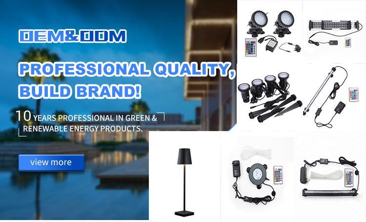 キ*ン様 Arowana Magical Light Series キ*ン様 Arowana Magical Light Series キ*ン様 Arowana Magical