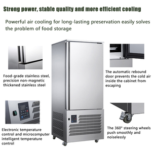 वाणिज्यिक रसोई स्टेनलेस स्टील सीधे फ्रीजर एकल दरवाजा-45 डिग्री सेल्सियस विस्फोट चिलर एयर कूलिंग गहरे जमे हुए फ्रीजर - Product Image 3