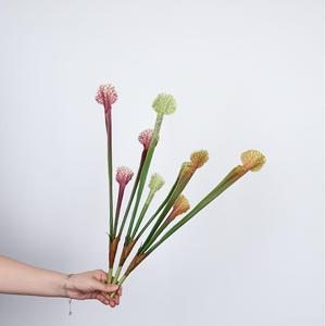 <span class=keywords><strong>Plante</strong></span> artificielle <span class=keywords><strong>Venus</strong></span> Flytrap, <span class=keywords><strong>plante</strong></span> à fleurs vertes, feuillage haut de gamme, fleurs décoratives artificielles, décoration intérieure, aménagement paysager - Product Image 4