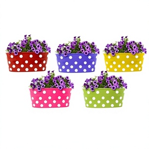 Maceta Colgante Moderna con Revestimiento de Polvo de Hierro, Diseño Ovalado con Puntos, para Hogar y Balcón, Disponible en Varios Colores - Product Image 3