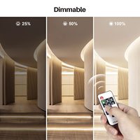 Vente flash - Bande lumineuse LED COB étanche pour extérieur, personnalisable, IP68 IP67, AC 220V 110V DC 24V 12V 5V
