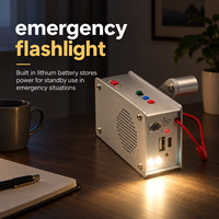 Générateur portable à manivelle, chargeur USB pour téléphone, lampe torche LED, radio pour le camping en plein air, la pêche, la survie en cas de catastrophe