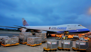 DHL/FedEx/UPS экспресс-доставка от двери до двери, быстрая доставка от китайского поставщика логистических услуг, грузового агента - Product Image 4