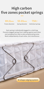 Ngủ Welloem/Odm 12 Inch Thoải Mái Mềm Nước Rửa Sạch 92% Cao Su Túi Mùa Xuân Nệm Euro Top Nệm Pad - Product Image 4