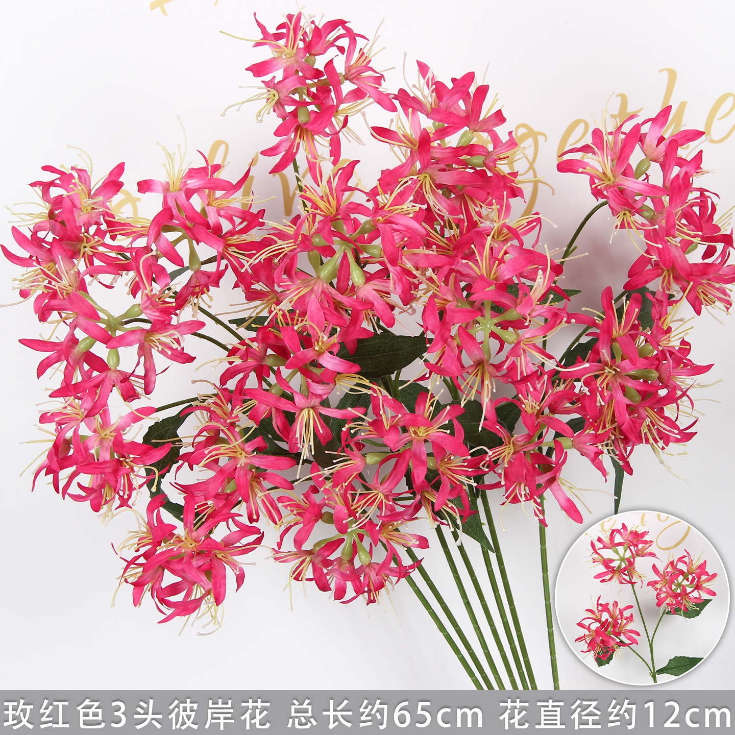 Rose-red three-headed spider lily branch