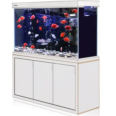 Custom Large Arowana Fish Tank glass fish tank Aquarium
