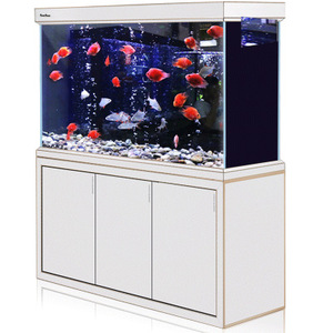Op maat gemaakte grote Arowana-visbak van glas - Product Image 1