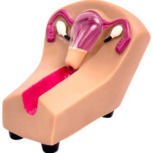 Modello di Addestramento per IUD per l'Insegnamento delle Scienze Mediche per Modelli Educativi - Product Image 5