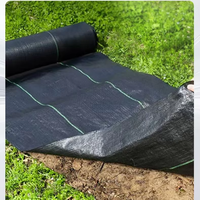 Tissu de contrôle des adventices noir en PP, très vendu, tapis de protection agricole contre les mauvaises herbes, rouleau de couverture de sol tricoté