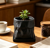 Pot de fleurs en céramique WabiSabi noir mat, fait main, irrégulier et incurvé, pour petites plantes vertes, décoration de table pour chambre et salon