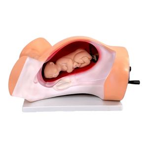 Kyrenmed Leveringssimulator Met Zijgedeelte En Mechanisme Bevallingsmodel Verloskundige Trainingssimulator - Product Image 1