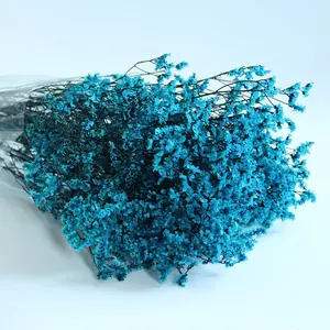 Crystal Grass Natural Fresh Dried Preserved Limonium Star Flowers Real Forever Lover Grass Branch For Home Decor