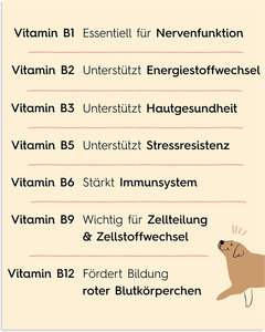 Complesso di Vitamina <span class=keywords><strong>B</strong></span> per Cani 140 Compresse 70g Alta Dose per Nervi Forti e Sistema Immunitario Produttore Cinese Lucky Pets - Product Image 4
