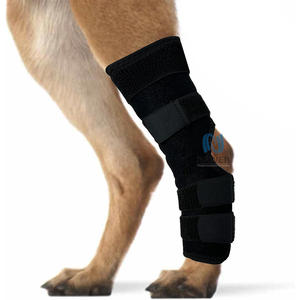 Özel yaralanmalar burkulma artrit kaybı ekstra büyük Pet köpek ön arka bacak sıkıştırma bilek koruyucu kollu - Product Image 1