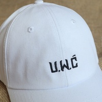 Gorra de Béisbol Blanca de 6 Paneles con Logotipo Bordado Personalizado al por Mayor, Gorra Deportiva de Sarga de Algodón con Visera Curva, Estilo Dad Hat, para Hombre y Mujer