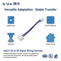 Perakitan Kustom Kabel Terminal Harness JST XHP Seri 2.54mm 2 Pin ke 4 Pin