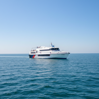 Grandsea 31m 200 sièges en aluminium Pax Ferry Boat Transport Bateau de passagers Ocean Liner Ro Bateau à vendre