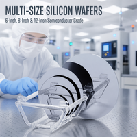 Wafer Silikon Kemurnian Tinggi 6 8 12 Inci Kelas Prima Monokristalin Si Substrat untuk Proyek R&D Semikonduktor Canggih