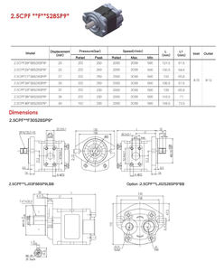 קטן 3-שלב מחפר שמן הידראולי משאבת ציוד ראשי למלגזה סוג המוצר משאבות הידראוליות - Product Image 6