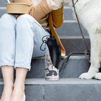 Distributeur d'eau portable en acier inoxydable PYD Life pour animaux de compagnie, bouteille d'eau pour chien, distributeur d'eau de voyage avec gobelet portable pour animaux de compagnie, personnalisé