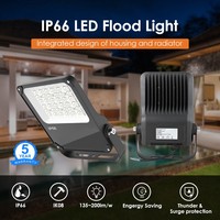 IP66 Étanche 135LM/W 80W/100W/150W/200W/300W/400W COB LED Jardin Projecteurs Extérieurs