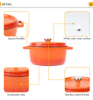 Raylon 30% de réduction Vente en gros Batterie de cuisine en fonte émaillée de qualité supérieure non toxique Revêtement émaillé jaune Antiadhésif Cocotte