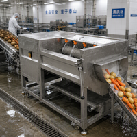 Fruit- en groentewasmachine voor cassave en wortelreiniging 220/380V Eenvoudig te bedienen aardappelwasser en -schiller