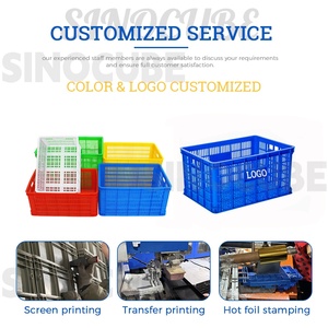 Contenitori Impilabili in Plastica PP Sinocube, Casse Ecologiche Resistenti per Conservazione di Frutta e Verdura, per Supermercati e Magazzini - Product Image 5