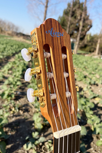 Guitarra clásica eléctrica Aiersi <span class=keywords><strong>de</strong></span> caoba con cutaway, precio económico, en <span class=keywords><strong>venta</strong></span>. - Product Image 4