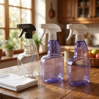 Pulvérisateur en plastique rechargeable PET 500 ml, modèle S-28 à dents, pour dilution de nettoyant pour sols, type poussoir, transparent