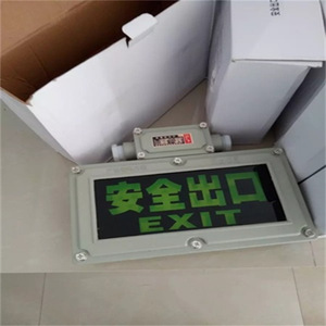 Luz de Señalización de Salida LED Verde de Plástico con 3 Horas de Emergencia, Control por Interruptor y Autodiagnóstico - Product Image 1