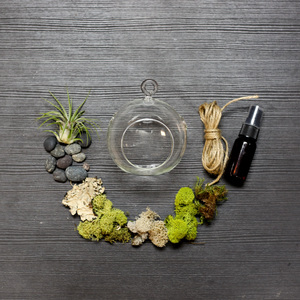 Bestes Geschenk Herb Garden Kit Glas Terrarium Vase Lebhaftes Reptil Mini Terrarium Kinder Pflanze Kit Töpfe Hängendes Glas Pflanze Terrarium - Product Image 2