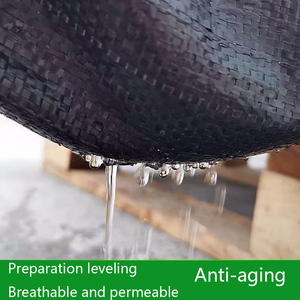 Film de paillage biodégradable pour serre, tapis de contrôle des adventices pour <span class=keywords><strong>pépinière</strong></span>, <span class=keywords><strong>en</strong></span> tissu, coloré, léger, écologique, <span class=keywords><strong>en</strong></span> <span class=keywords><strong>rouleau</strong></span> - Product Image 3