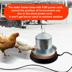 Calentador de <span class=keywords><strong>agua</strong></span> de pollo personalizado, Descongelador eléctrico, Base calentada para <span class=keywords><strong>bebedero</strong></span> de aves de corral en gallinero de invierno - Product Image 4