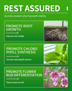 Stick nutritivo <span class=keywords><strong>per</strong></span> Compost a rilascio lento <span class=keywords><strong>per</strong></span> famiglie fertilizzante <span class=keywords><strong>per</strong></span> vaso di <span class=keywords><strong>fiori</strong></span> in fiocco - Product Image 5