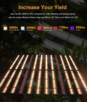 US CA LED élèvent la lumière samsung lm301h evo Lm301b led élèvent la barre lumineuse pour la culture de plantes de serre de ferme verticale