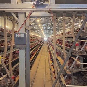 New Steel A-Type Battery Cage for 96 Hens Automatic Chicken Farm Poultry Cages for Egg Production