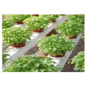 Système hydroponique d'aquaponie verticale NFT intelligent d'intérieur de JIapei dans Superfarm - Product Image 1
