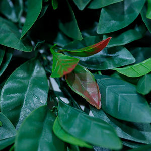 Paredes Verdes Artificiales de Estilo Libre Más Populares, Hojas Tropicales, Plantas Mixtas, Arbustos Artificiales para Decoración - Product Image 5