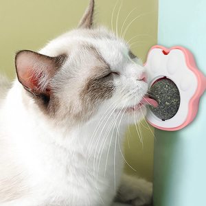Nouvel Arrivage Jouet pour Chat Personnalisé en Forme d'Avocat, en Forme de Patte de Chat, Balle de Fruits Rotative Amusante, Jouet à l'Herbe à Chat pour l'Auto-entretenue - Product Image 3