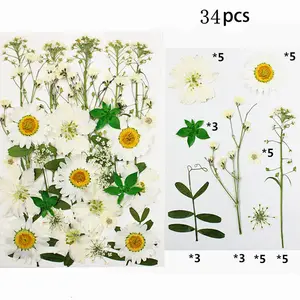 M027 Bulk Geperste Gedroogde Bloemen Hars Schimmel Vullingen Bloemen Diy Real Gedroogde Bloem Geperst Voor Nail Art Home Decor Handwerk